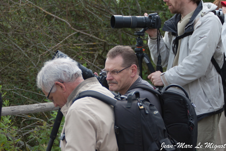 _MG_4759.jpg